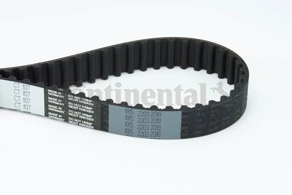 Timing Belt